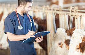 gulitacademy.com ||Veterinary_Doctor[Science Stream Jobs List With Salary In India]
